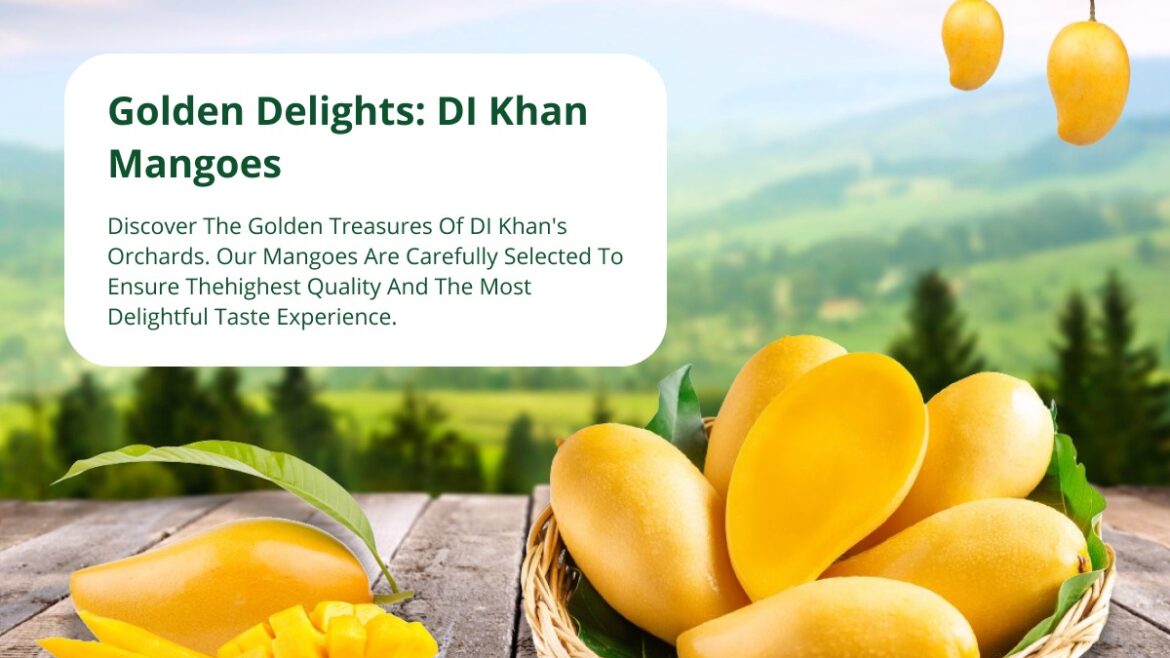 Discovering the Golden Mangoes of Dera Ismail Khan