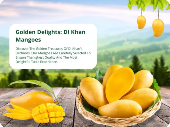 Discovering the Golden Mangoes of Dera Ismail Khan