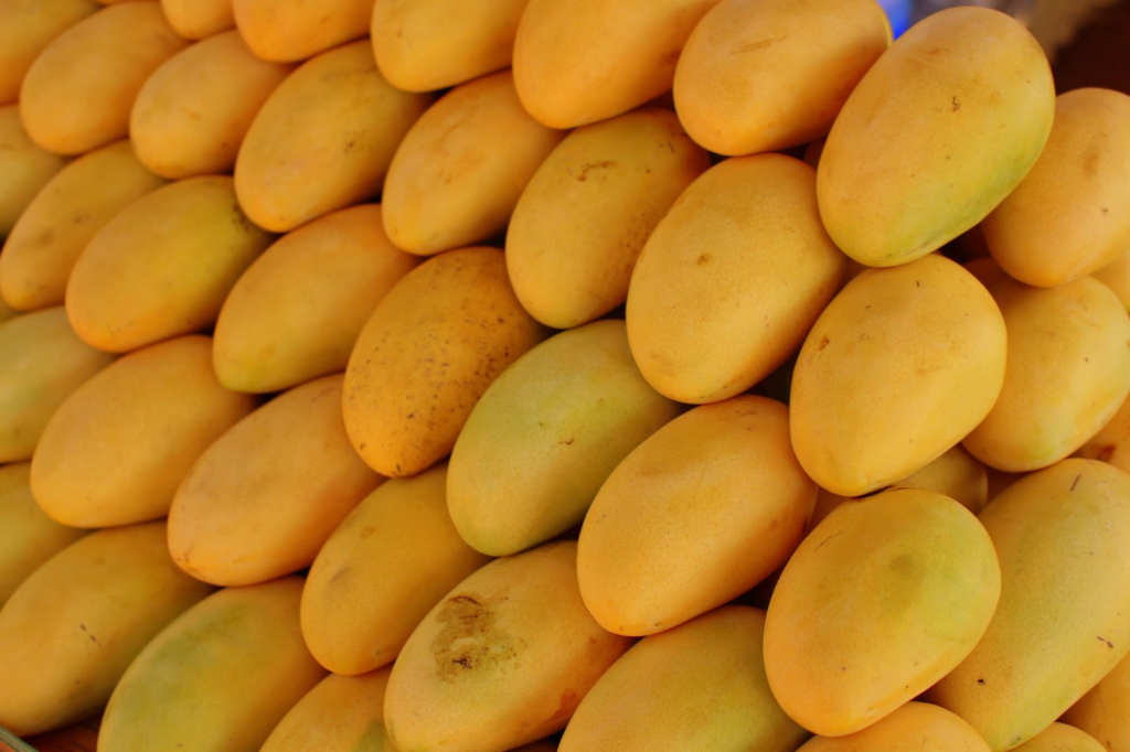 Pakistani Mangoes Take Center Stage at Al Hamba Festival in Doha