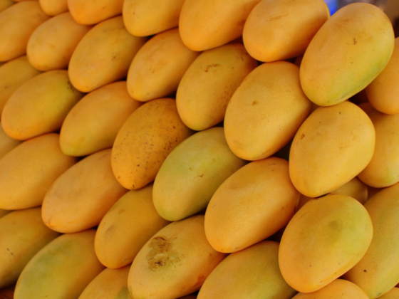 Pakistani Mangoes Take Center Stage at Al Hamba Festival in Doha