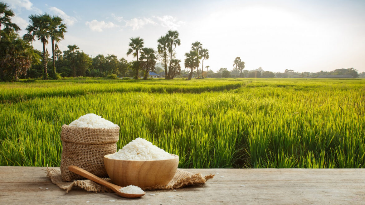 Pakistan Achieves Record-Breaking $4 Billion in Rice Exports in 2024